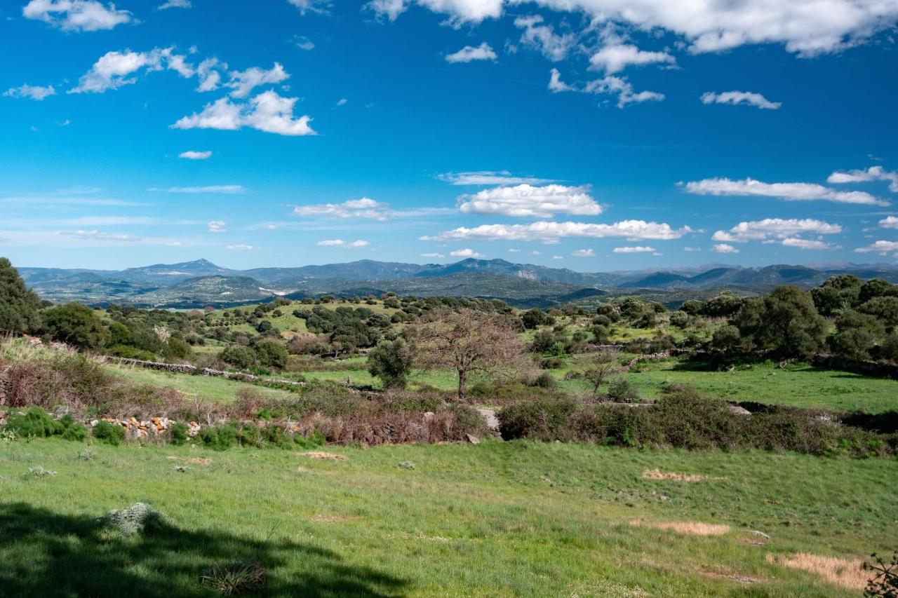 Binzas Betzas Agriturismo Sedilo Екстериор снимка